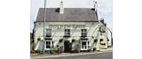 The Golden Lion