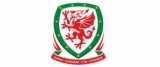 Football Association of Wales