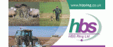 HBS Ring Ltd