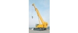 K.T Crane & Erection Services