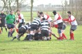 Pulborough 15/01/11