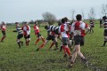 Pulborough 15/01/11