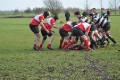 Pulborough 15/01/11
