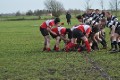 Pulborough 15/01/11