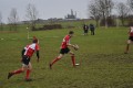 Pulborough 15/01/11