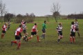 Pulborough 15/01/11
