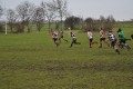 Pulborough 15/01/11
