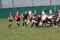 Spring 2010