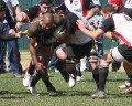 Spring 2010