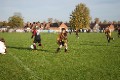 Raptors in Action!