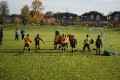 Raptors in Action!
