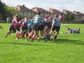 Hayes/Springboks 10/11