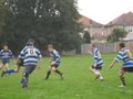 Hayes/Springboks 10/11