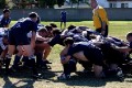 2009 Unicorn XVs Tournament