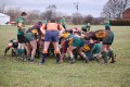 First XV v Bramley Phoenix 15/01/11