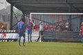 Maldon Tip V Swifts