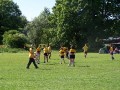 2010