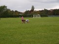 Hull v Newcastle 2010-11