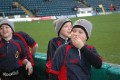 Wasps Game