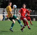 Mole Valley SCR Res v Hailsham Town Res