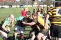 20110319 - Orpington vs Brockleians