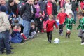 U6's Tournament 19-6-11