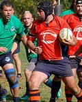 Brad Whiteman