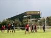 Desford V Newhall