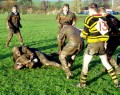 I think the team in brown is winning