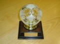 Player of the Year Player of the Year Awards - Player of the Year