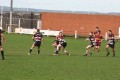 Morley V Lindley