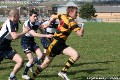 morgan academy v livingston