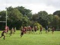West Park and Llanidloes Festival 2010