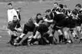 Wotton Images