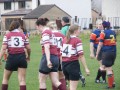 RDVC v Broughton 3/10/10
