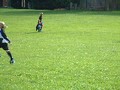 under 8's