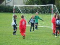 under 8's