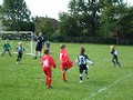 under 8's