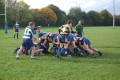2XV v Buzards