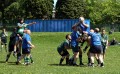 Toddy's V Birstall 2nd 2011