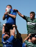 Toddy's V Birstall 2nd 2011
