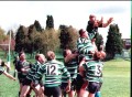Old Dogs 2001