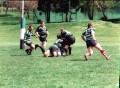 Old Dogs 2001