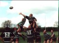 Old Dogs 2001