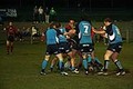 Ifor Williams Cup Final