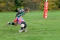 Pencoed 2nds v Wick
by Kristin Elsner 