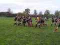 lismore v hawick quins