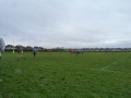 Kato Memorial Game
