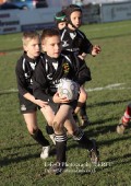 U9 v Atherstone @ CRFC 2010-11-13