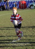 U9 v Atherstone @ CRFC 2010-11-13